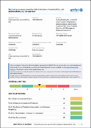 BSCI Report